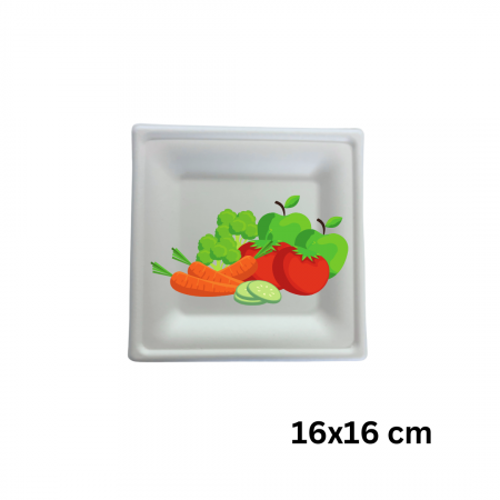 farfurii-unica-folosinta-din-trestie-zahar-patrate-paperbag [2]