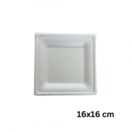 farfurii-unica-folosinta-din-trestie-zahar-patrate-paperbag [3]