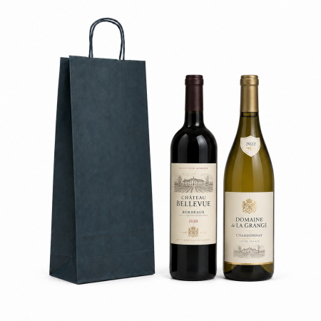 Pungi de hartie colorate - sacose-cu-maner-rasucit-pentru-sticle-18x8-5x38-PaperBag-sacose-cu-maner-rasucit-cmr