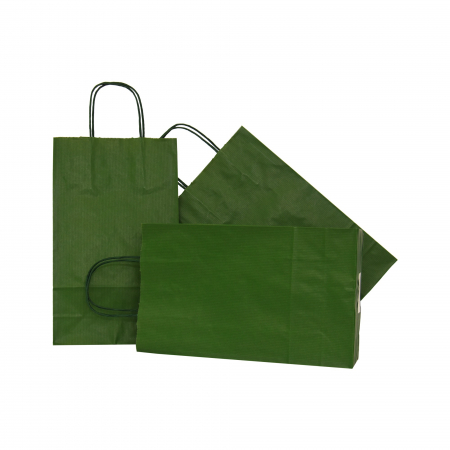 Pungi de hartie verzi - sacose-cu-maner-rasucit-pentru-sticle-18x8-5x38-PaperBag-sacose-cu-maner-rasucit-cmr