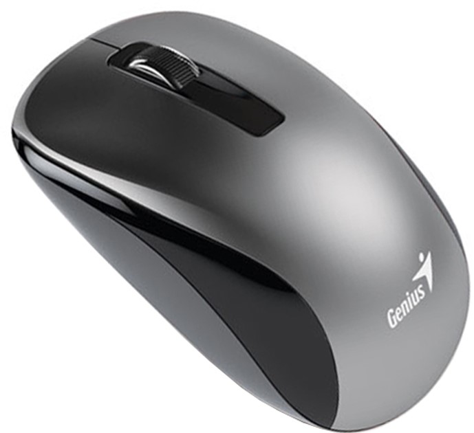 Electronice - MOUSE Genius, Cod Produs: 31030018405