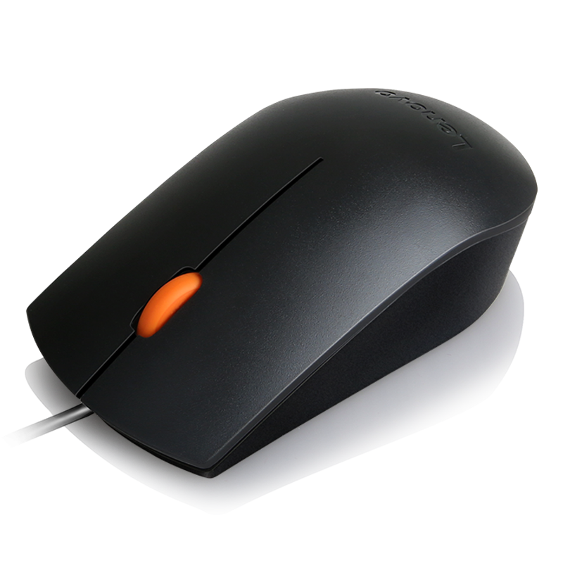 Lenovo 300 USB Combo Keyboard & Mouse Cod Produs: GX30M39606 [3]