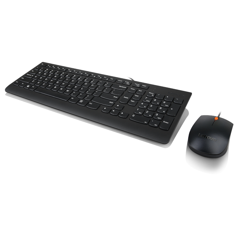 Electronice - Lenovo 300 USB Combo Keyboard & Mouse Cod Produs: GX30M39606