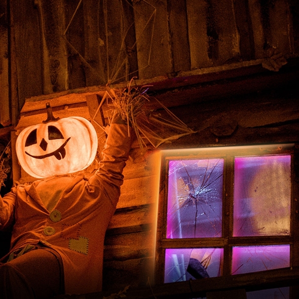 BANDA LED TP-Link  RGBIC,  Wi-Fi 2.4 Ghz incorporat, consum 20.5W, banda 5m, control prin aplicatia Tapo, comenzi vocale Cod Produs: Tapo L920-5 [4]