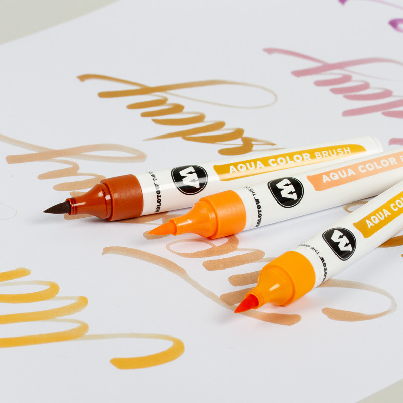 Brush Pen Molotow Aqua Color Basic2 12 buc/set [4]