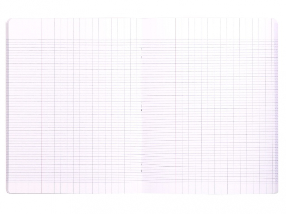 Caiet 17 x 22 cm, capsat, 48 file, liniatura franceza, Clairefontaine [7]