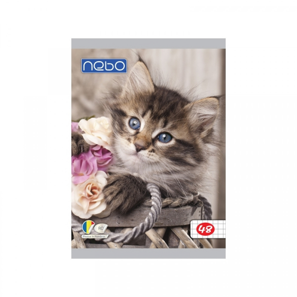 Caiet A5, 48 file, matematica [4]