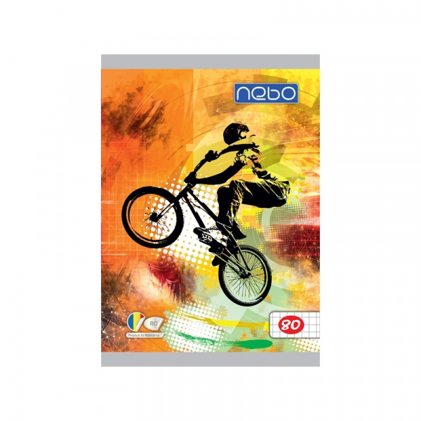 Caiet A5, 80 file, spira, matematica [4]