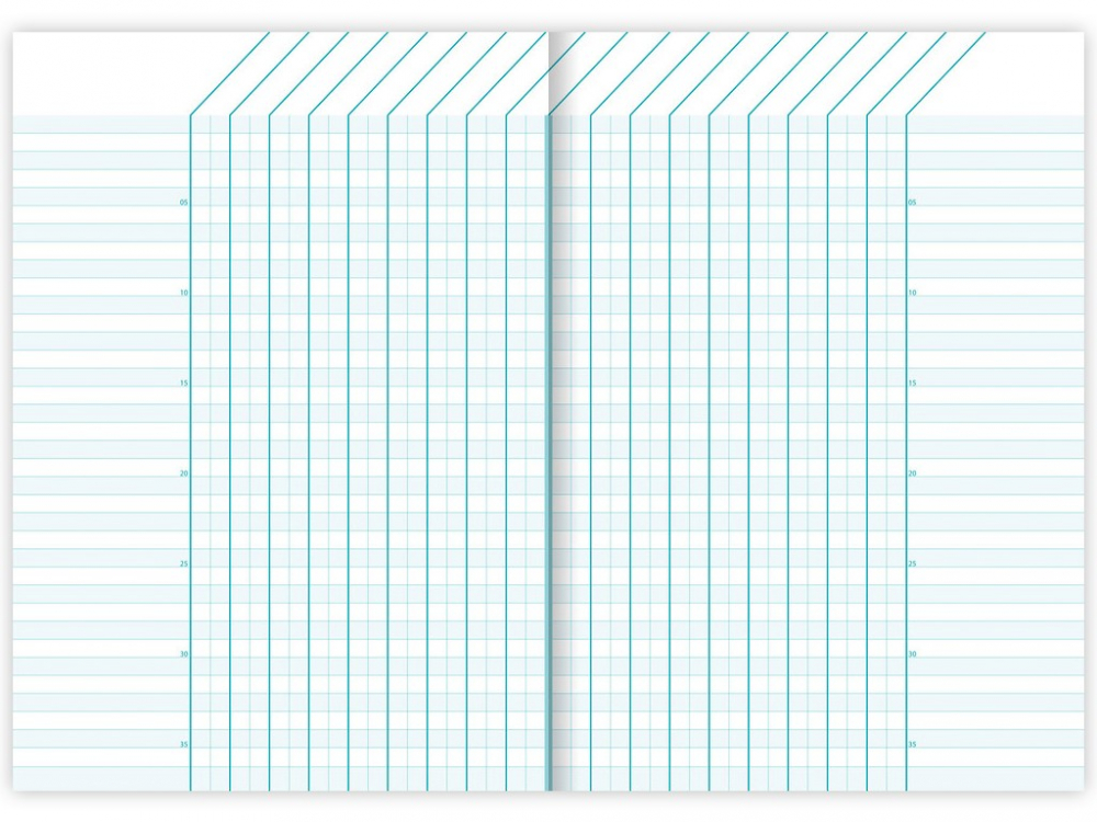 Carnet special A5 capsat, 40 file, Clairefontaine Fantasy [5]