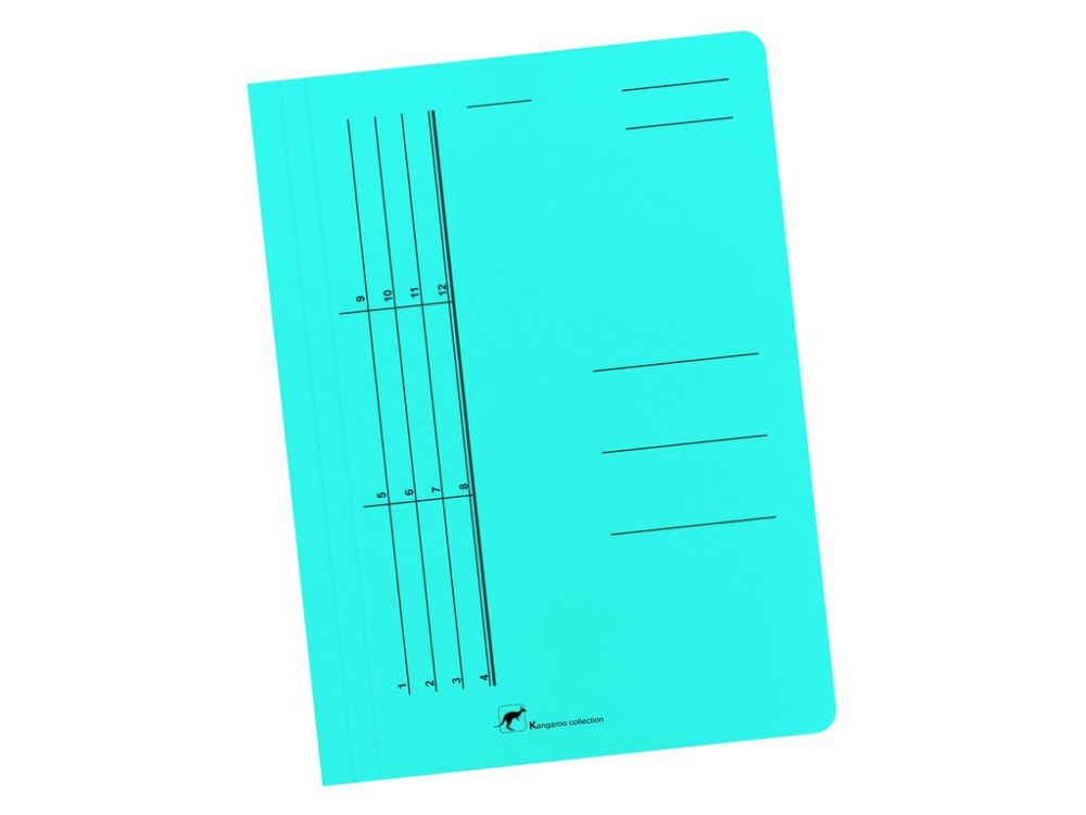 Dosar din carton color cu sina Austral [1]
