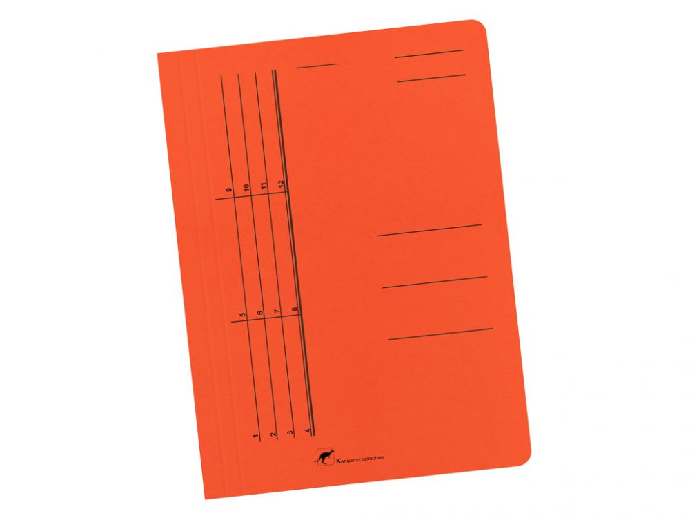 Dosar din carton color cu sina Austral [1]
