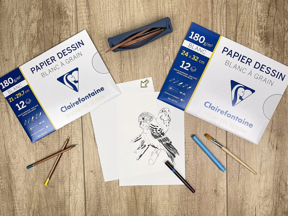 Hartie desen A3 224 g/mp 10 coli/plic Clairefontaine [3]