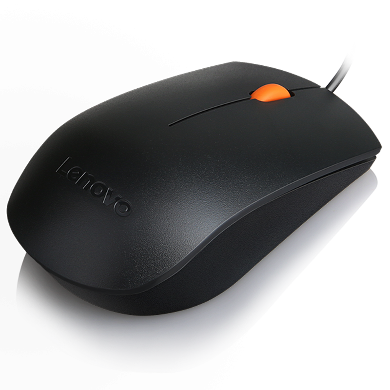 Lenovo 300 USB Combo Keyboard & Mouse Cod Produs: GX30M39606 [3]