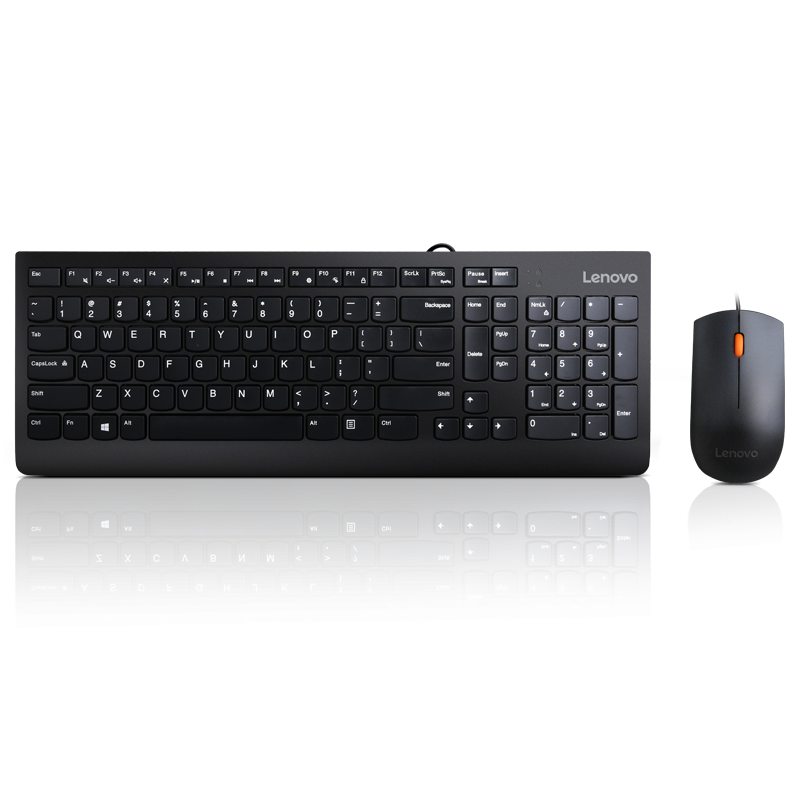 Lenovo 300 USB Combo Keyboard & Mouse Cod Produs: GX30M39606 [8]
