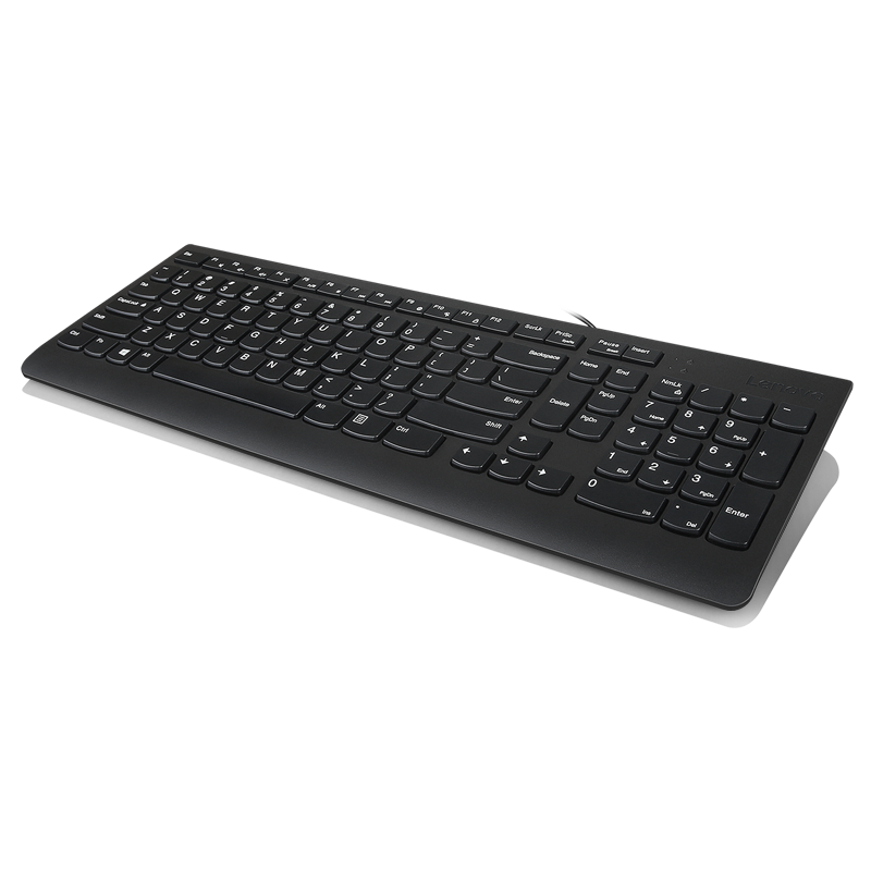 Lenovo 300 USB Keyboard - US English Cod Produs: GX30M39655 [2]
