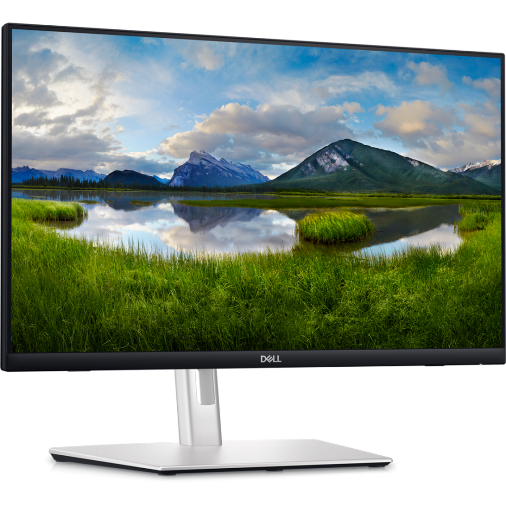 MONITOARE Dell 2 Cod Produs: P2424HT [3]