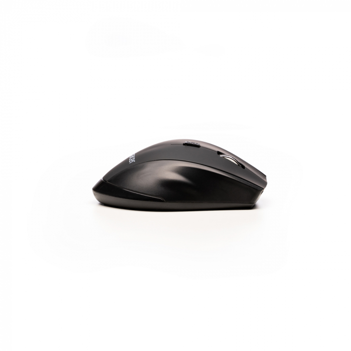 Mouse Spacer SPMO-291 [4]