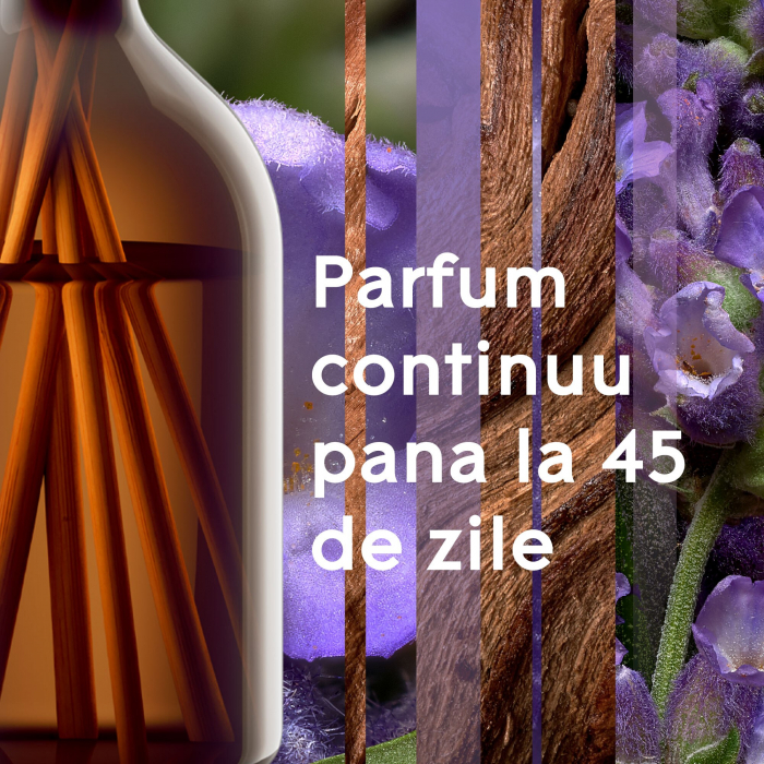 Odorizant camera cu betisoare Glade Aromatherapy Moment of Zen [3]