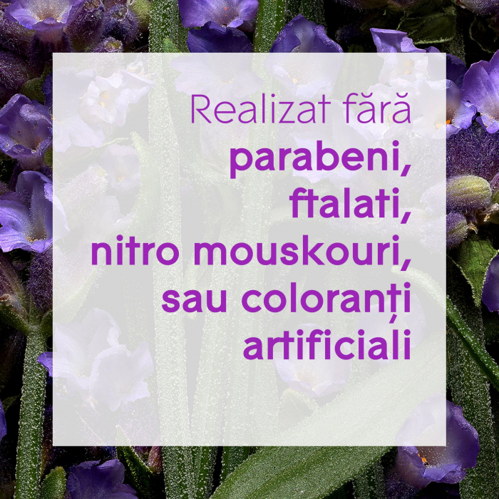 Odorizant camera cu betisoare Glade Aromatherapy Moment of Zen [6]
