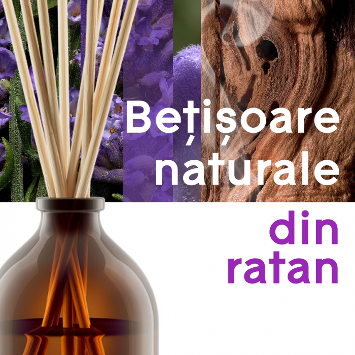 Odorizant camera cu betisoare Glade Aromatherapy Moment of Zen [4]
