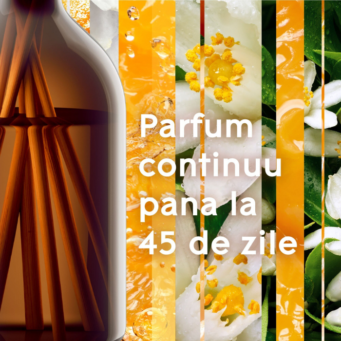 Odorizant camera cu betisoare Glade Aromatherapy Pure Happiness [3]