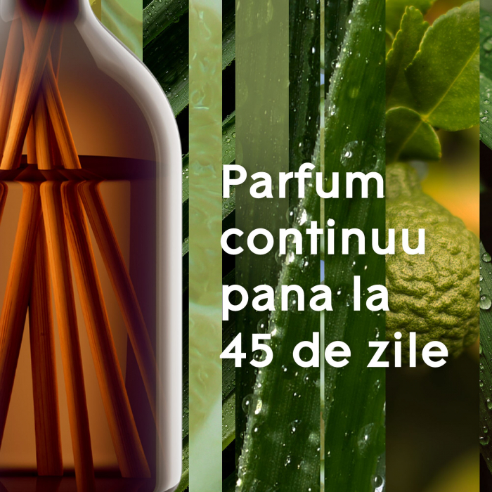 Odorizant camera cu betisoare Glade Aromatherapy Calm Mind [3]