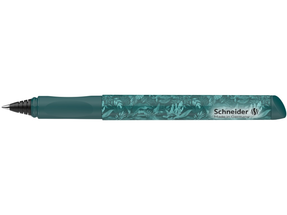 Roller Schneider Voice 2026 [4]