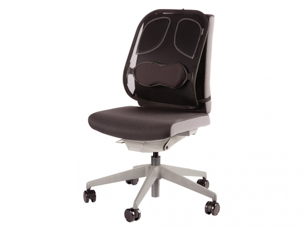 Suport ergonomic pentru spate Professional mesh Fellowes [2]
