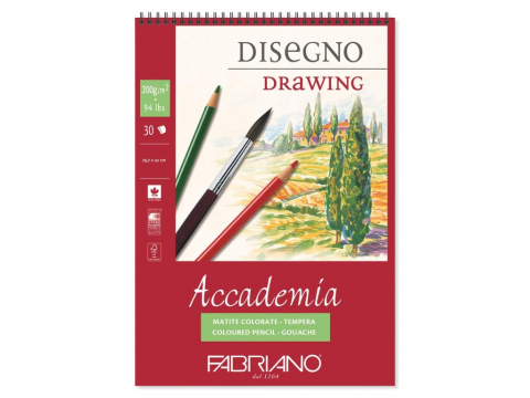 Caiete si blocuri de desen - Bloc desen Accademia Disegno, A3, 200 g, 30 file, cu spirala Fabriano
