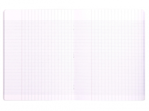 Caiet 17 x 22 cm, capsat, 48 file, liniatura franceza, Clairefontaine [6]