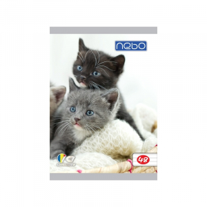 Caiet A5, 48 file, dictando [2]