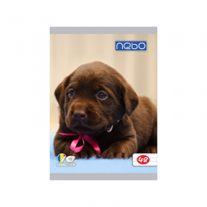 Caiet A5, 48 file, dictando [1]