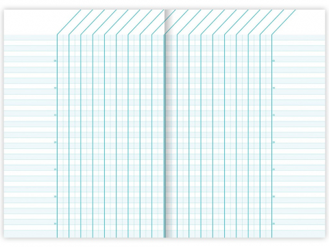 Carnet special A5 capsat, 40 file, Clairefontaine Fantasy [4]