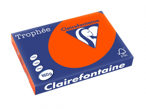 Hartie color - Carton A3 160 g/mp color intens 250/top Clairefontaine