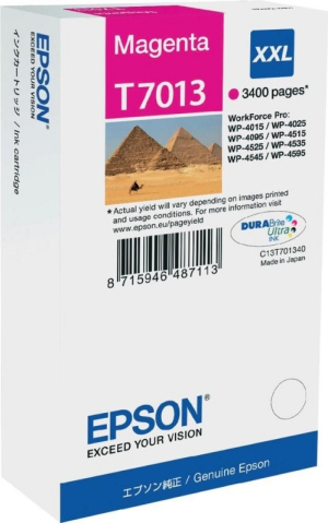 Cartuse originale Epson - Cartus Cerneala Original Epson Magenta, T7013, pentru WP4000|4500, , (timbru verde 0.15 lei), "C13T70134010"(RAPO)
