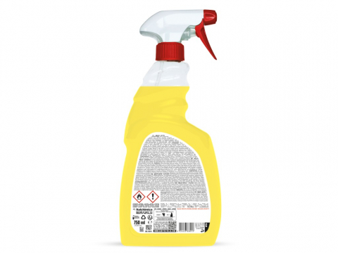 Dezinfectant pentru suprafete 750 ml Multi Activ [1]