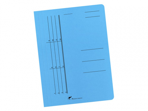 Dosare din carton - Dosar din carton color cu sina Austral