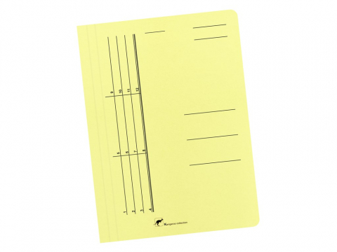 Articole pentru birou - Dosar din carton color cu sina Austral