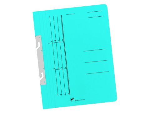 Dosare din carton - Dosar din carton de incopciat cu gheare 1/1 Forster