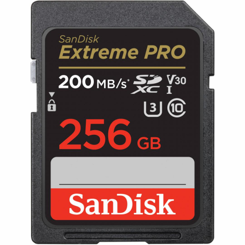 Card-uri SD - MEMORII. SD CARD Sandisk 256GB CL10 SDSDXXD-256G-GN4IN, Cod Produs: SDSDXXD-256G-GN4IN