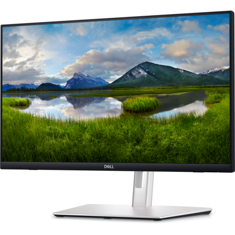 MONITOARE Dell 2 Cod Produs: P2424HT [1]