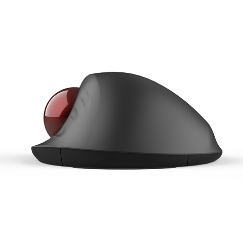 MOUSE DELUX ,  trackball ,  wireless ,  2.4GHz + BT5.0 ,  USB ,  optic ,  4000 dpi ,  butoane/scroll 5/1 ,  negru ,  Cod Produs: MT1DB-BK [4]