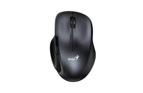 MOUSE Genius , Ergo Cod Produs: 31030029401 [0]