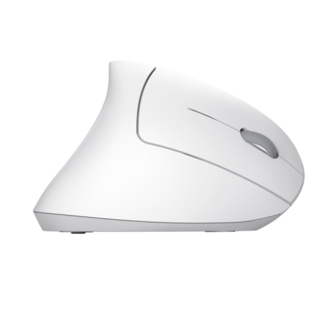 Periferice - MOUSE Trust VERTO WIRELESS ERGO MOUSE WHT Cod Produs: 25132