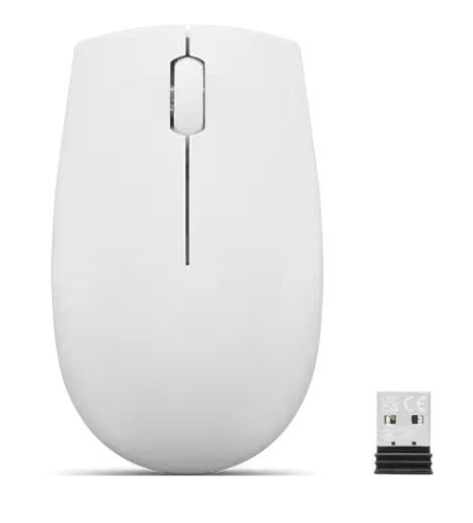 Mouse - MOUSE USB OPTICAL WRL 300/CLOUD GREY GY51L15677 LENOVO Cod Produs: GY51L15677