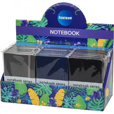 Carnetele si organizatoare - Notebook A6 dimensiune 87x135mm 24buc/display