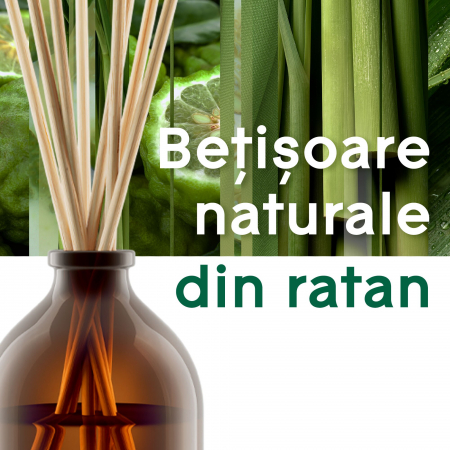 Odorizant camera cu betisoare Glade Aromatherapy Calm Mind [3]