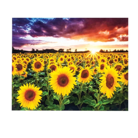Panze de pictura - Panza de pictura pe numere si kit cu pietre acrilice floarea soarelui 40x50 cm