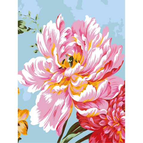 Panze de pictura - Panza pictura pe numere floare de bujor 30x40 cm