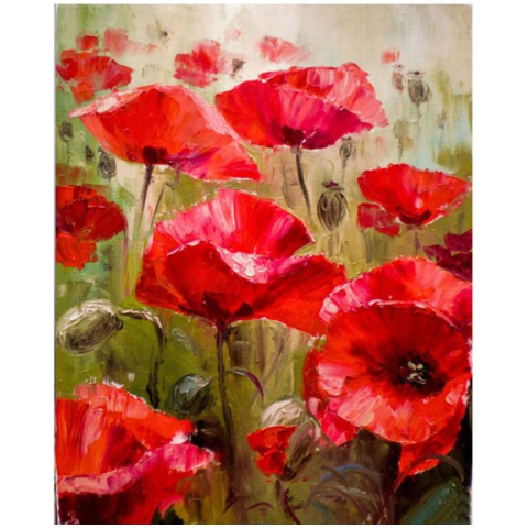 Panze de pictura - Panza pictura pe numere flori de mac 30x40 cm